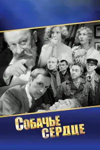 Bᴧa∂uᴧᴧup 丁oᴧokoннukoʙ, Еʙrенuй Еʙcτurнееʙ, Бopuc